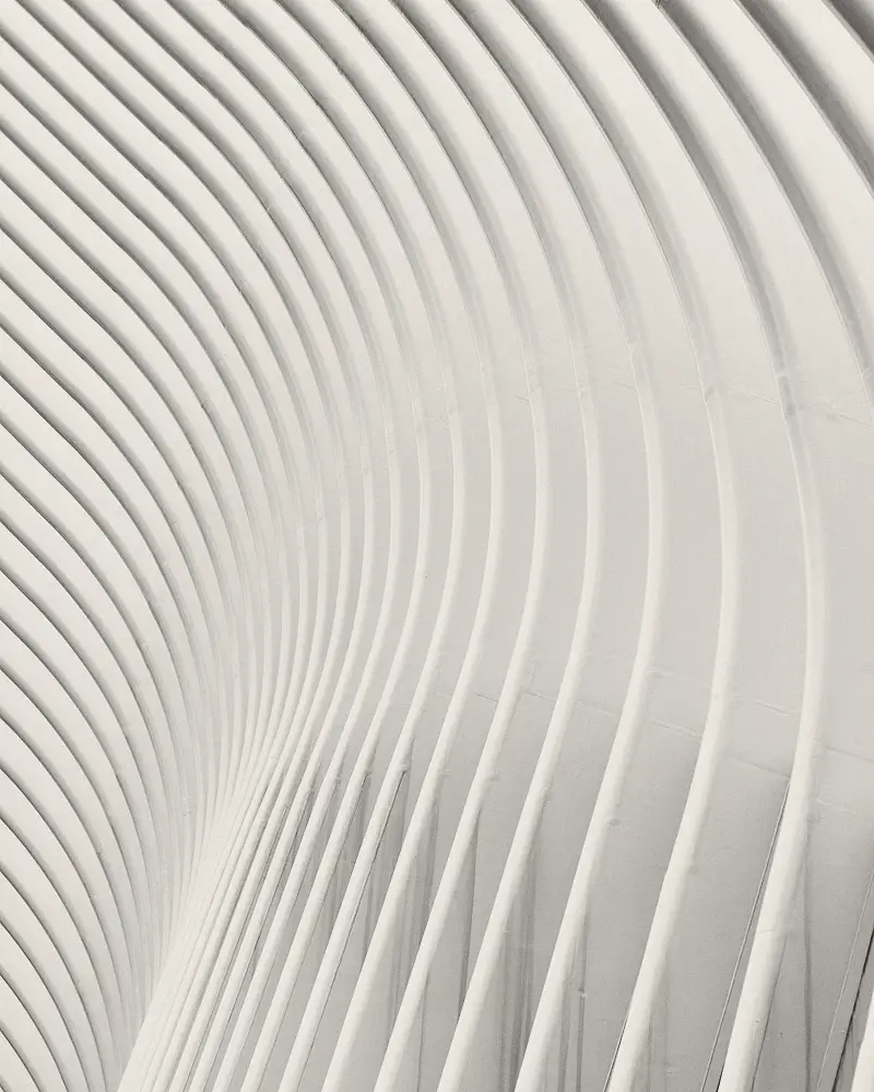 Sweeping white ribs of a modern vaulted structure.